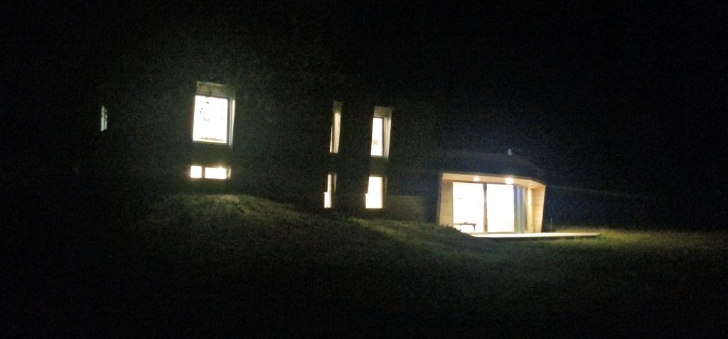 Nest at night